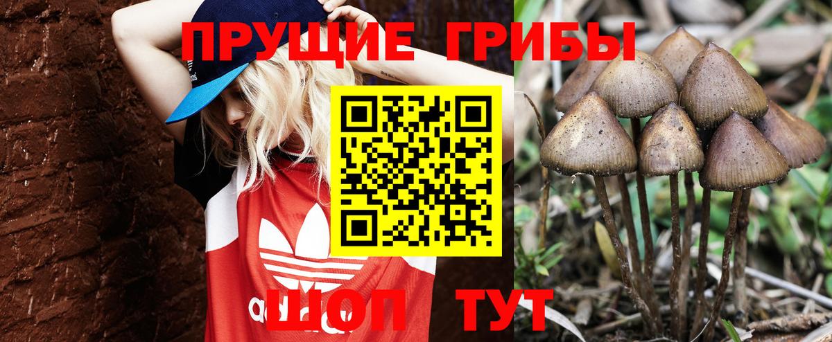 Псилоцибиновые грибы MAGIC MUSHROOMS  Вход с VPN  Комсомольск-на-Амуре  как найти закладки  Псилоцибиновые грибы ЛСД 