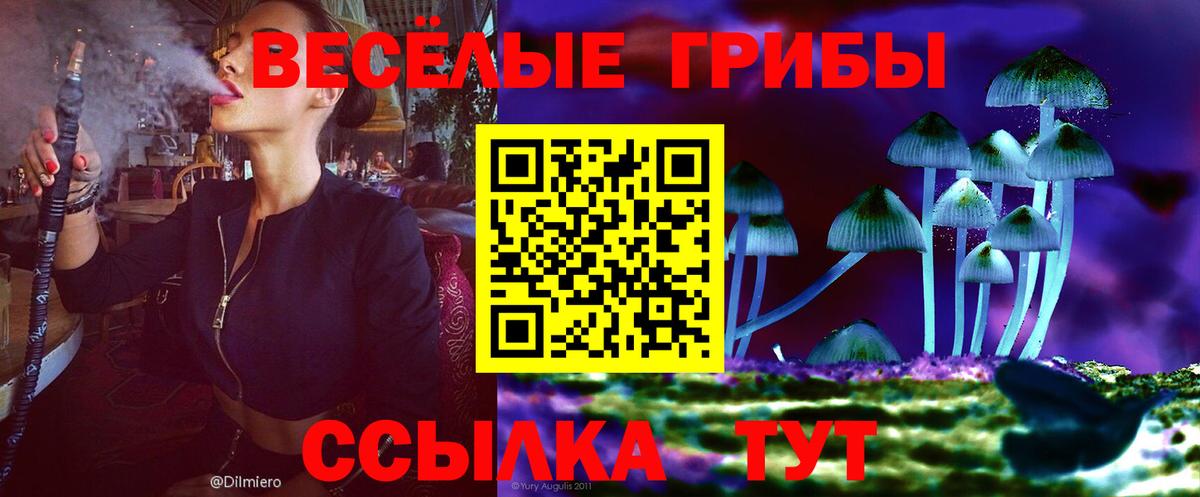 Псилоцибиновые грибы Psilocybine cubensis Комсомольск-на-Амуре